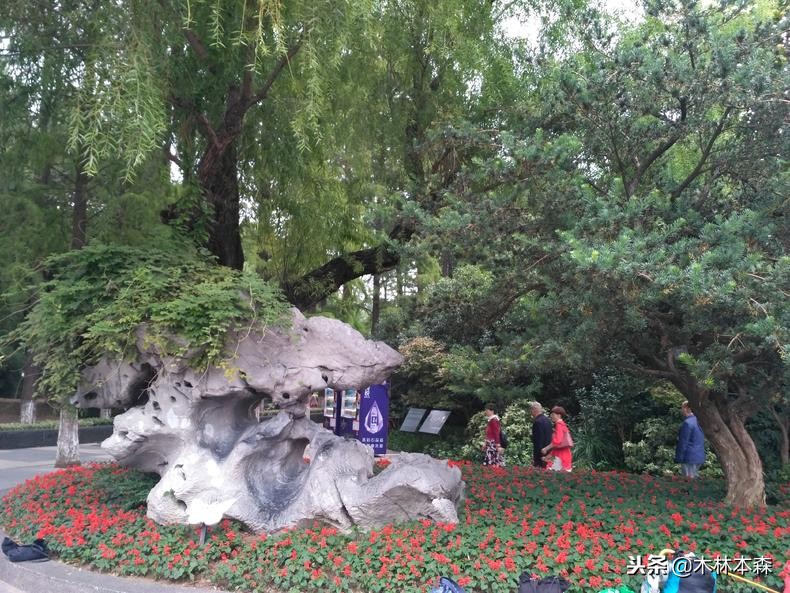 常州天宁禅寺佛塔,去天宁寺坐几路车