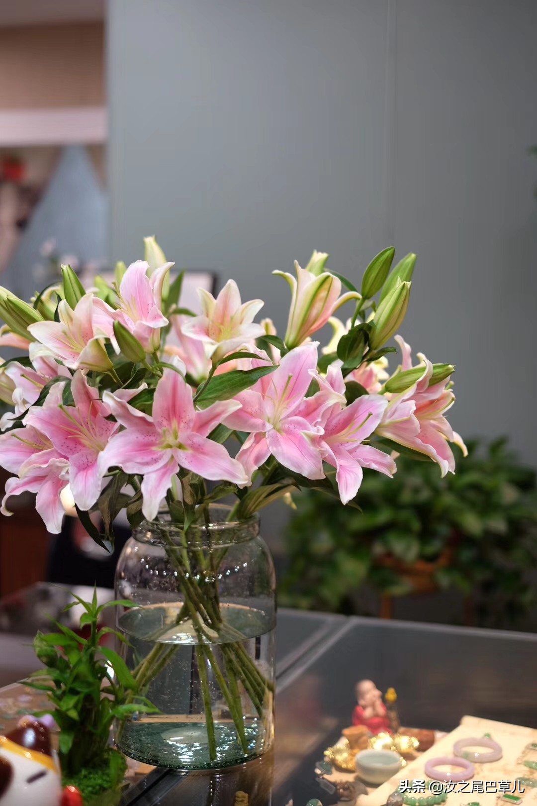 鲜花蔫了注意事项,买的鲜花有点蔫怎么养