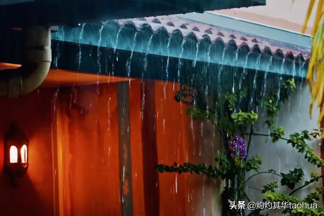 中文到底有多美这篇文章告诉你,中文到底有多美原文