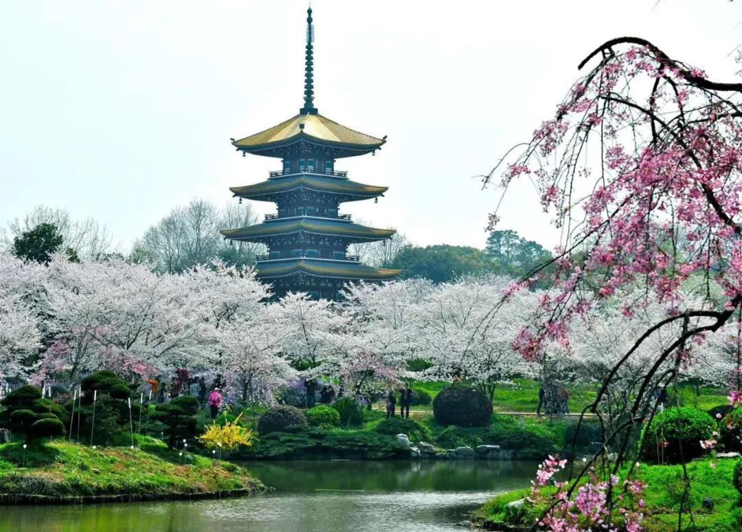 九天诗词2020春天诗词集雅第六集