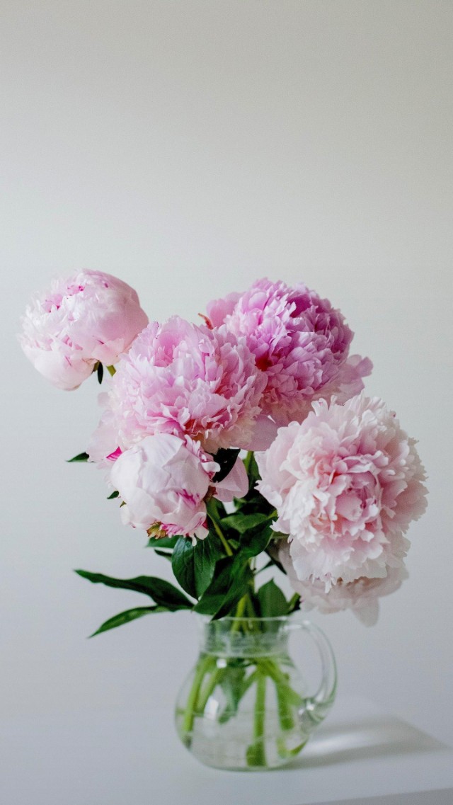 给懒女人的忠告,懒女人最好的解决办法