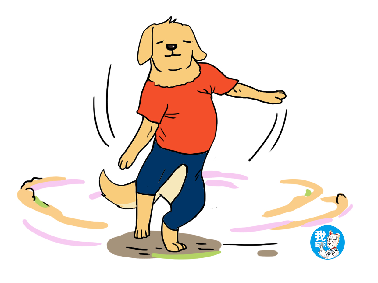 给狗狗穿衣服为什么会咬主人,给狗狗穿衣服不算爱狗吗