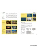 有关几何图形的书,关于几何图形的书籍