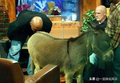 巴克利十大未解之谜,巴克利到底有多可怕