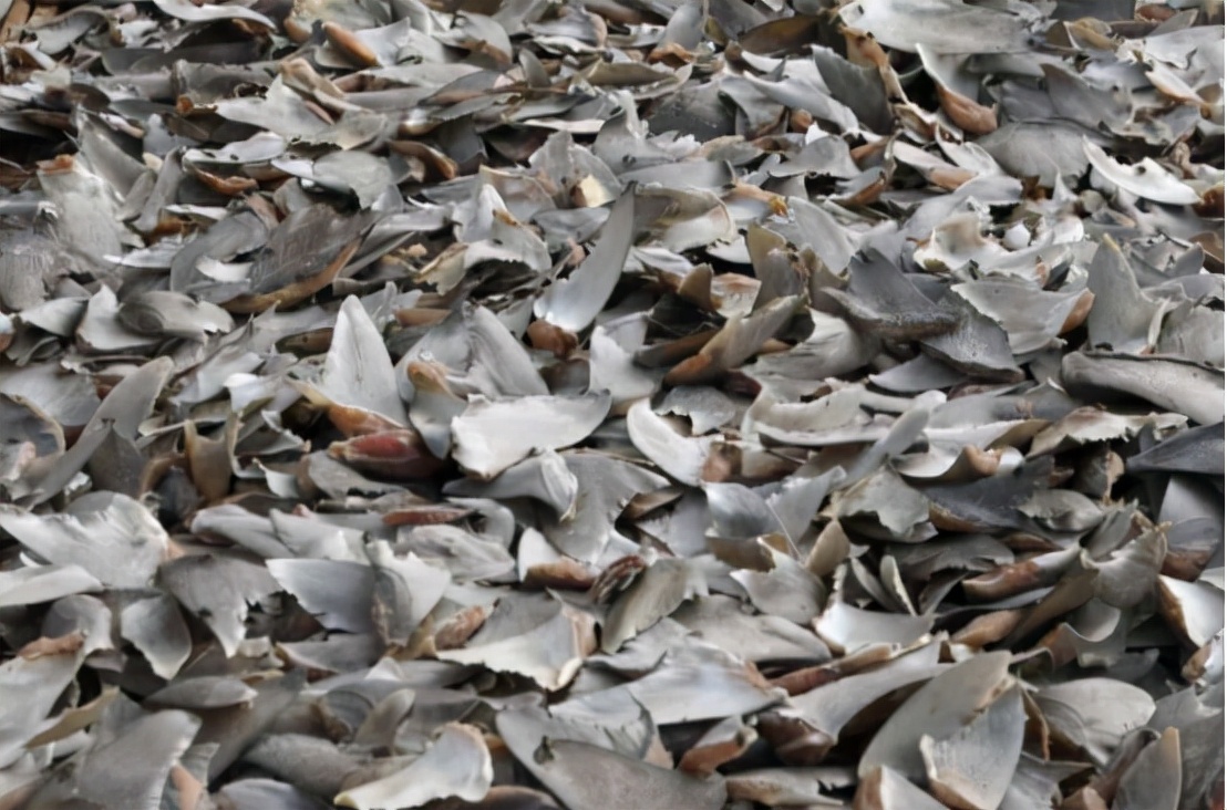 哥伦比亚成功抓获头号毒枭,哥伦比亚近期抓捕新闻