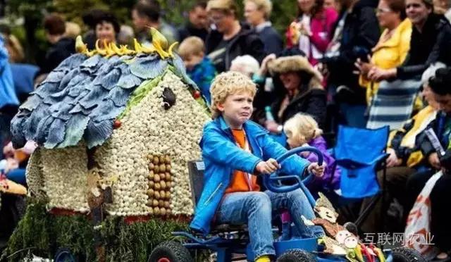 休闲农业模式怎么选好点,休闲农业的100种盈利模式