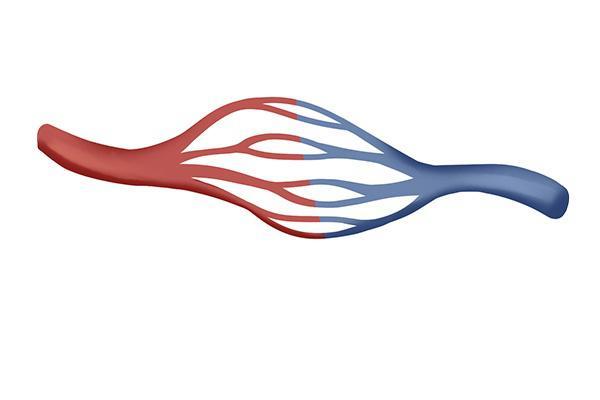 浑身没力气是什么原因引起的,干点活就累浑身没劲什么原因