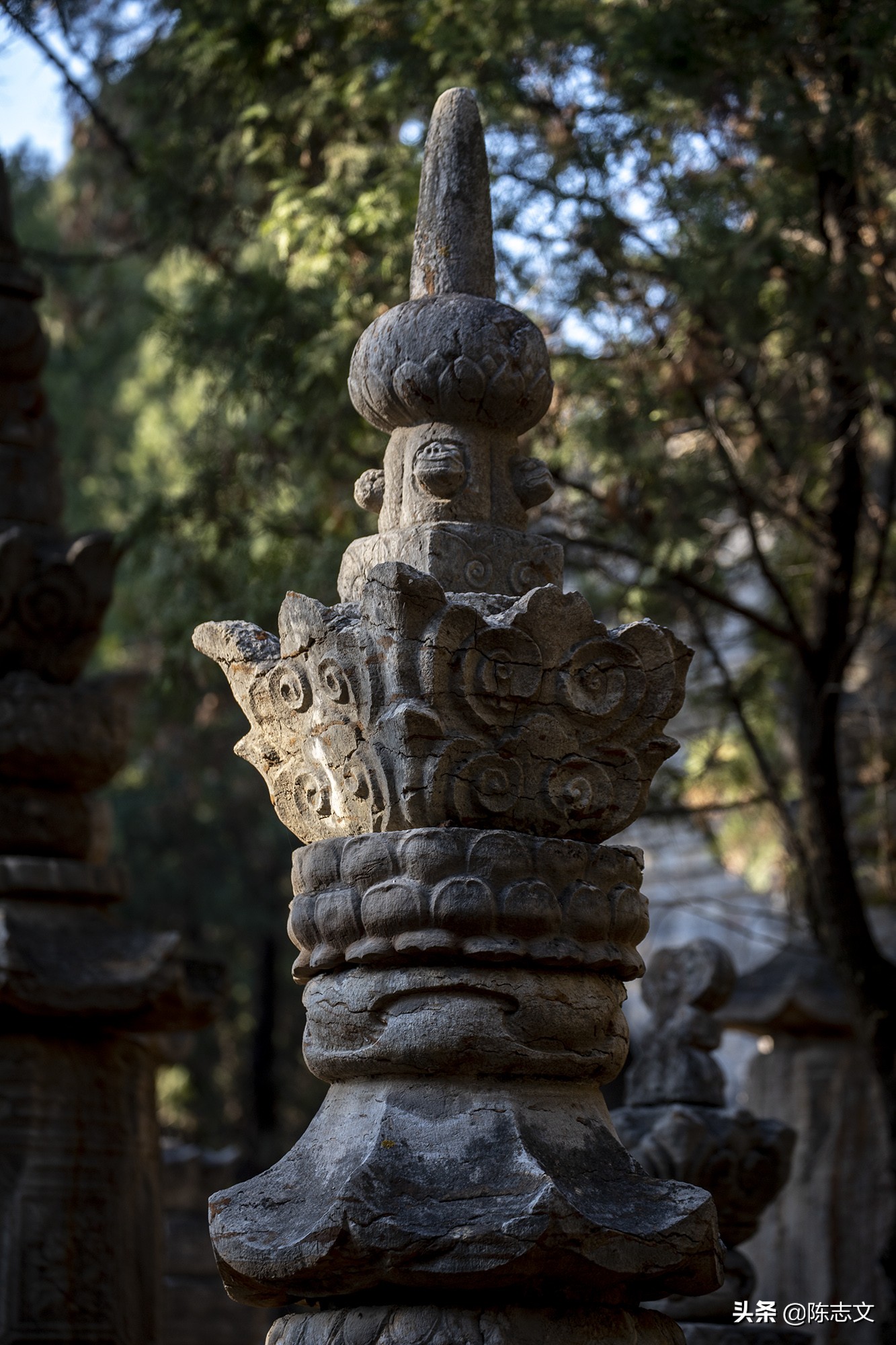 佛陀圆寂后几日火化,古代高僧圆寂视频