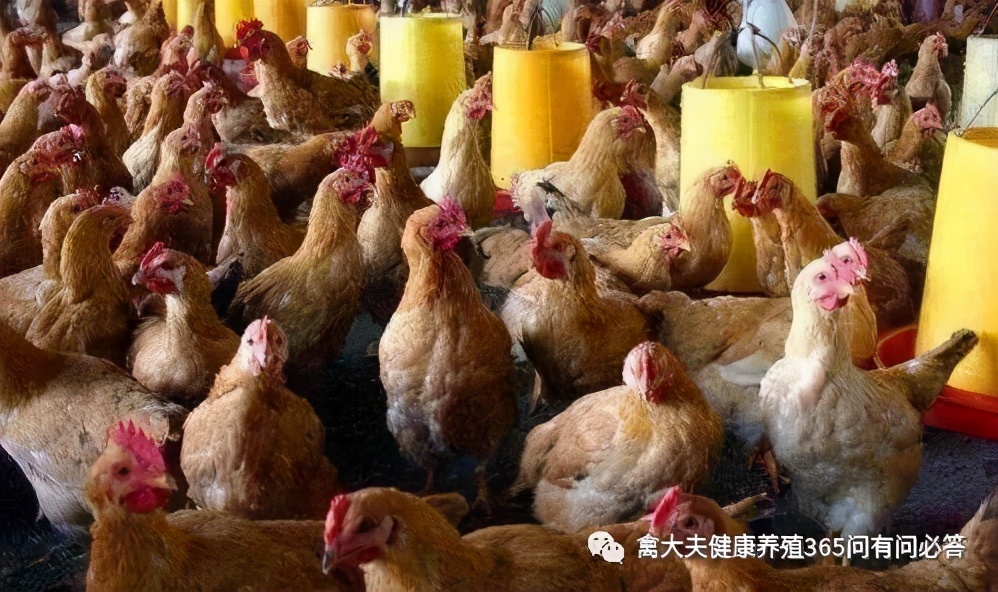 什么原因会引起肝破裂,肝破裂都有啥原因