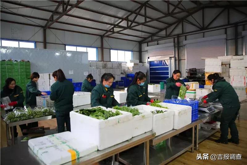 有关如何实现乡村振兴的范文,如何使自己家乡实现乡村振兴目标