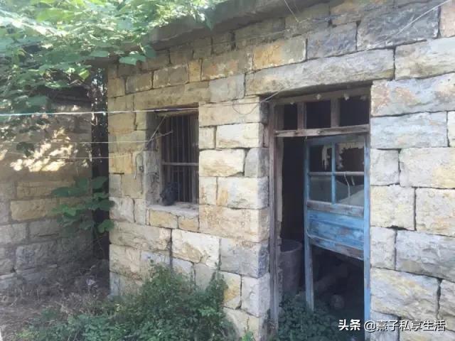 怎么打造低成本花园,怎么用几十元造花园