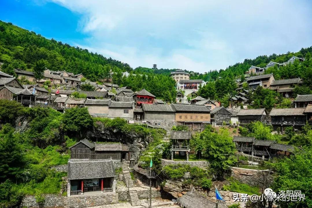 河南洛阳发布最新通知,洛阳牡丹花会向全世界发出邀请