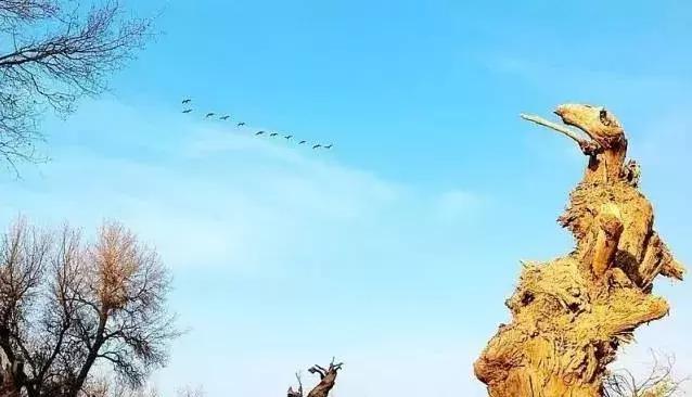 南疆小县城的百年饮料，制作技术堪比茅台，被誉为中国白兰地