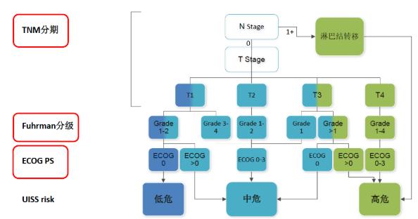 如何判断肾癌的中危还是高危,高危肾癌术后免疫辅助治疗