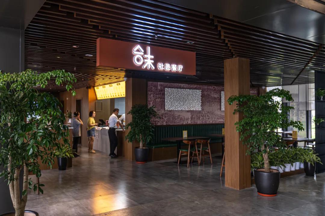 西安花海小森林,西安周边适合郊游野餐的地方