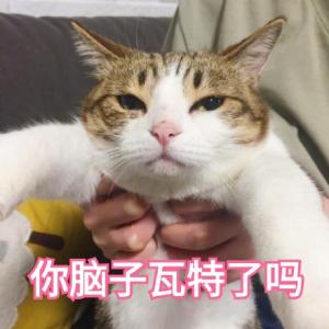 我的猫咪不爱喝水怎么办,猫咪因被主人关在门外大声嚎叫