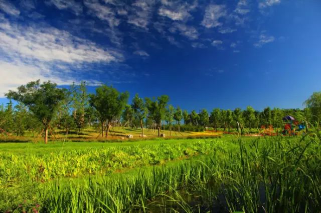 北京房山团建踏青地点推荐,北京房山春季旅游最佳去处