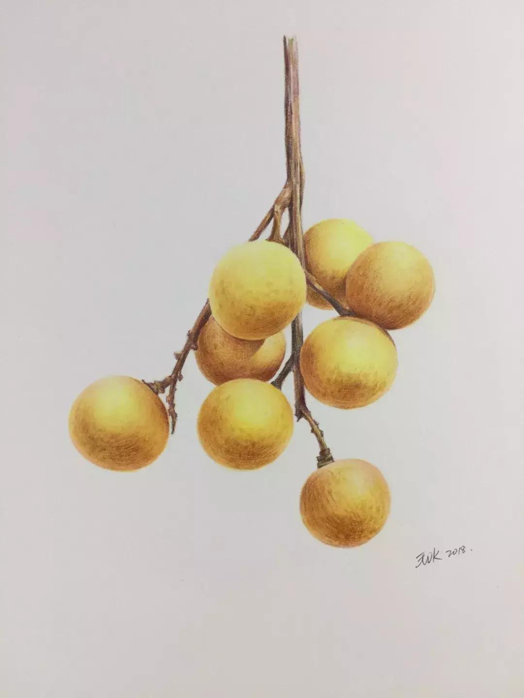 彩铅龙眼,龙眼怎么画彩铅