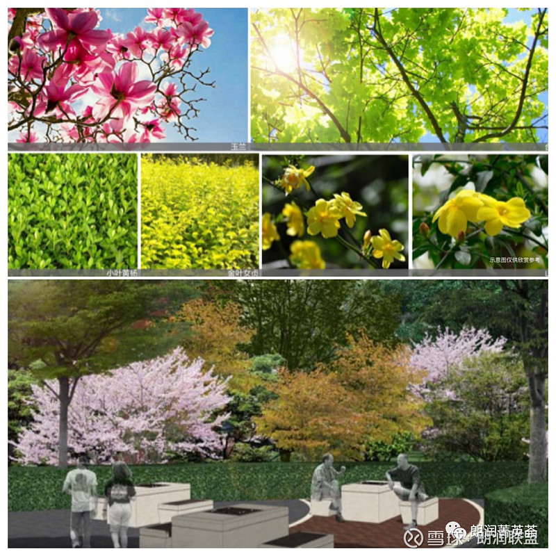 朗润园简介,龙湖朗润园园林