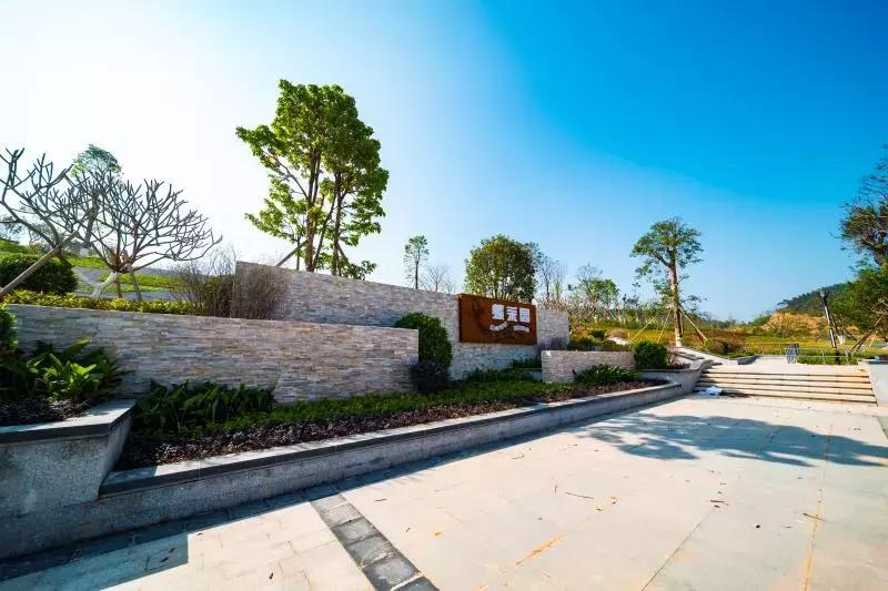 都杨镇能不能发展起来,都杨镇发展