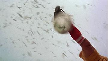 她又又又上热搜,她又又上热搜了