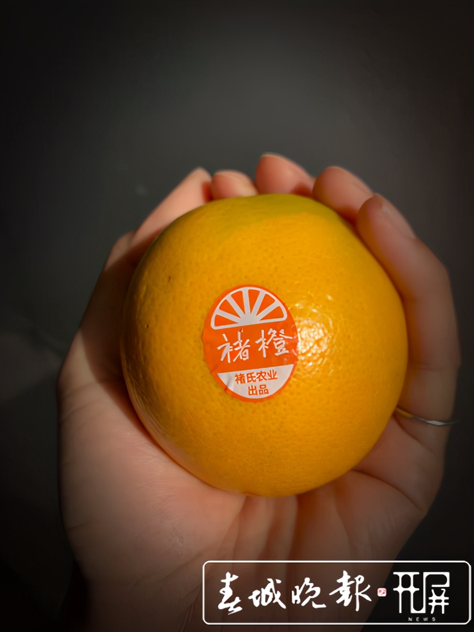 褚橙售卖期,褚橙最新发货消息