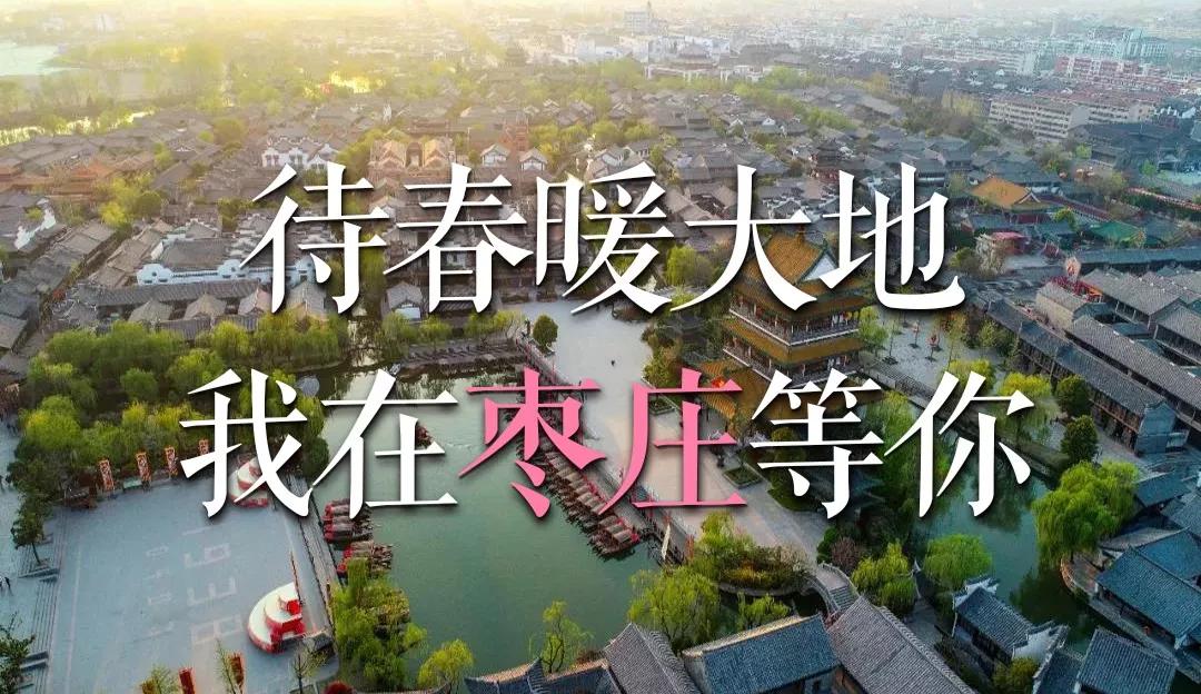 线上看*物文**|古人的惠世天工——战国青铜鸟形杯