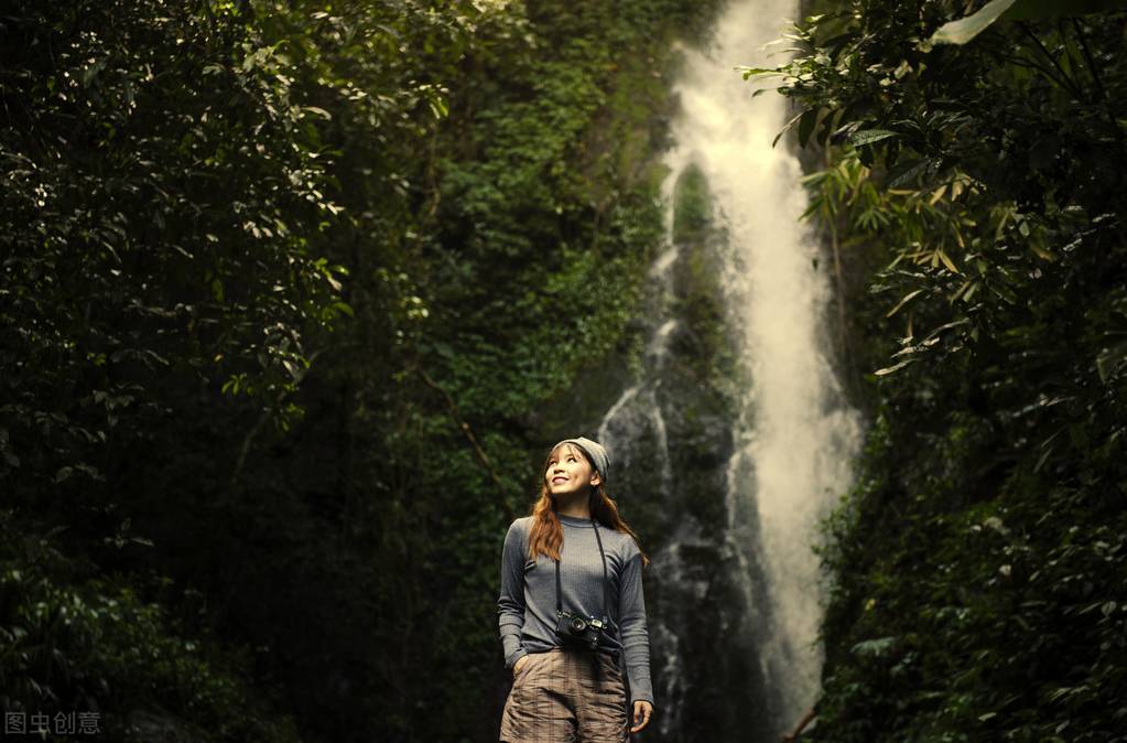 刺猬原则是什么意思,刺猬原则的意思