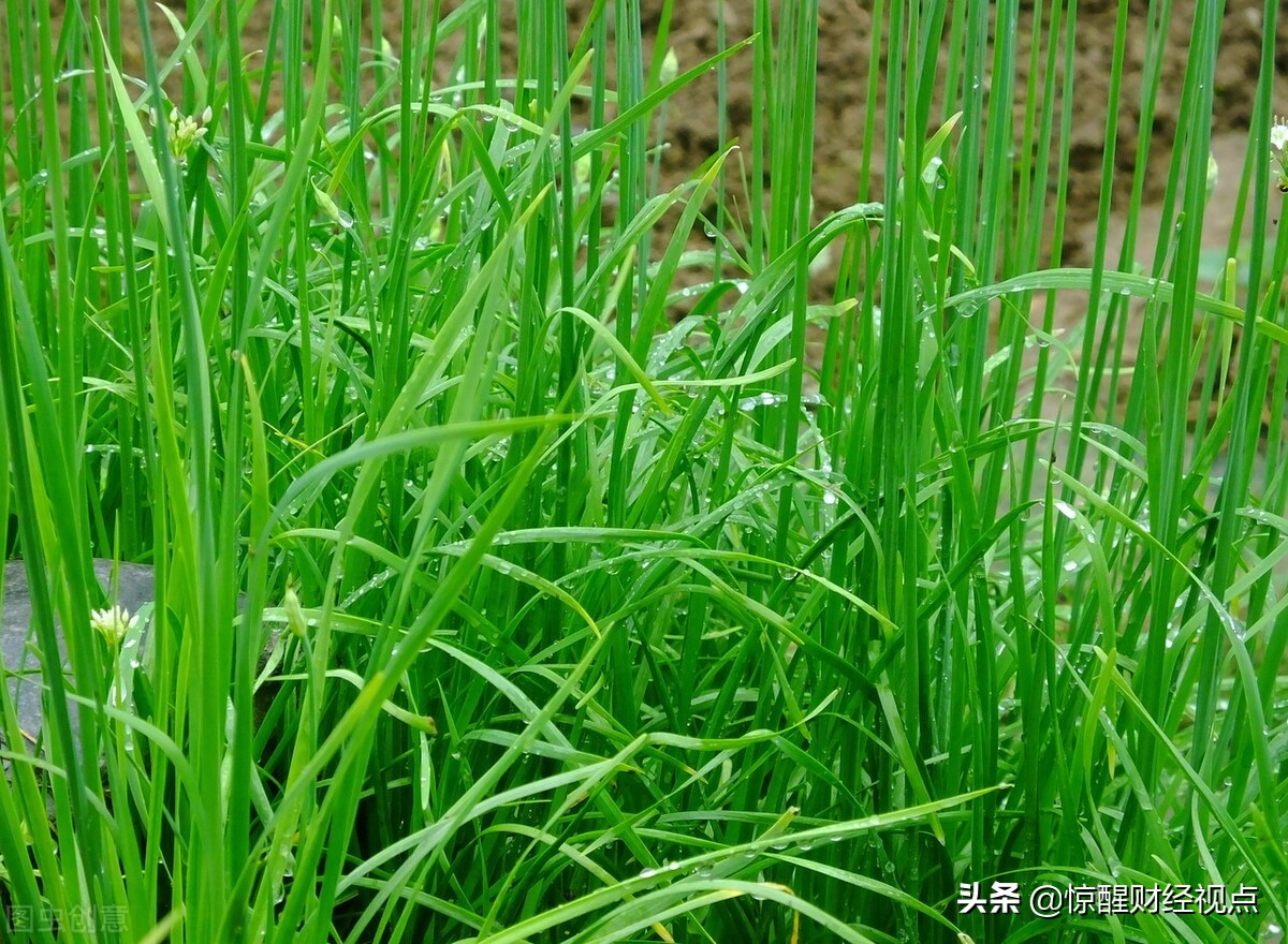 炒股技巧逻辑均不难学,看懂这些炒股不难