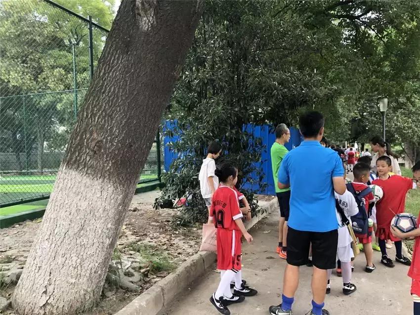 平顶山湛河足球场在哪里,平顶山哪个地方有足球场