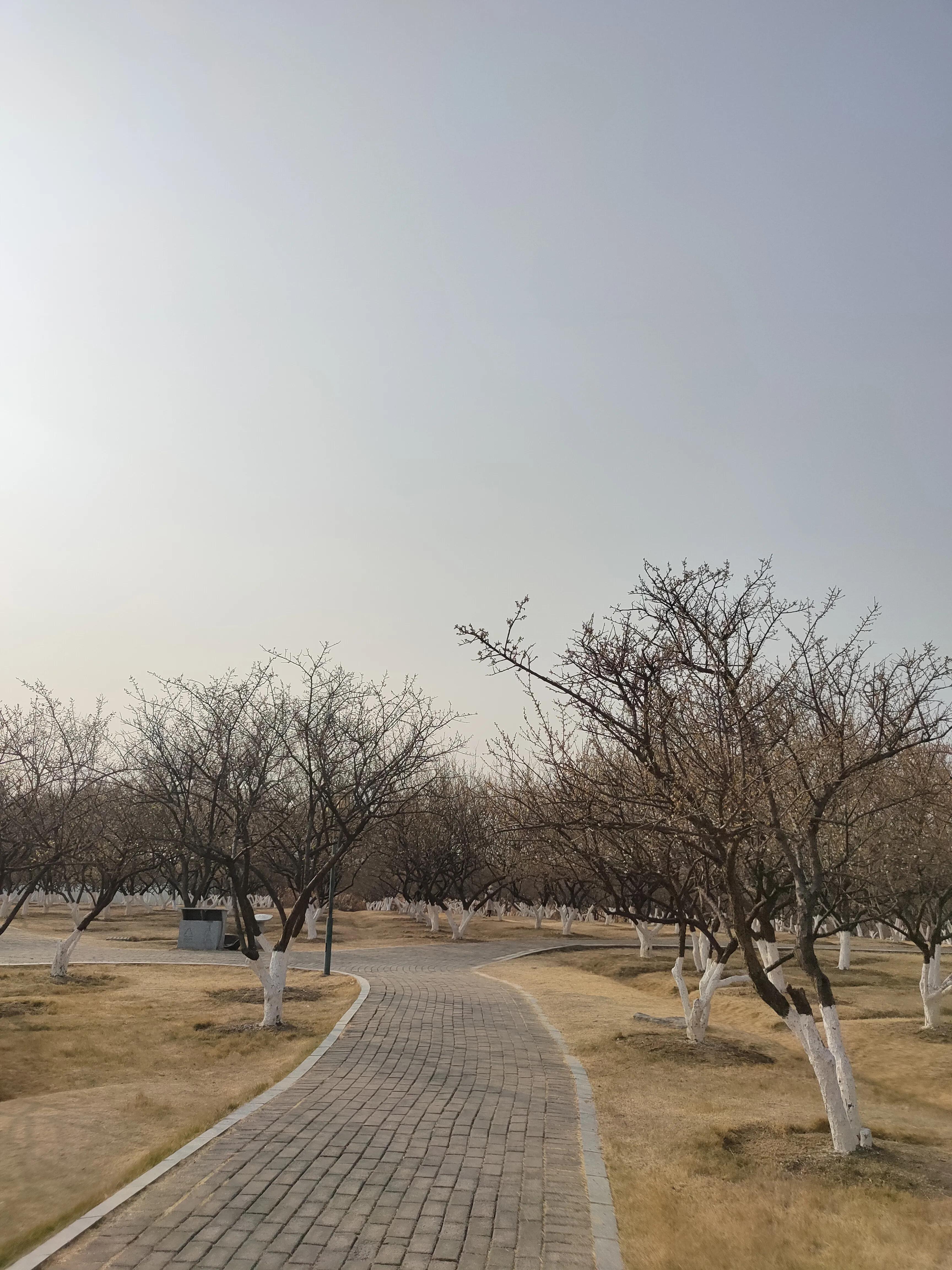 偌大的城市我的栖身之处在何处,偌大的城市容不下一个漂泊的灵魂