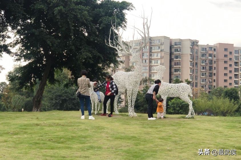 美了!宜居水岸金江明珠段秋日美景来袭