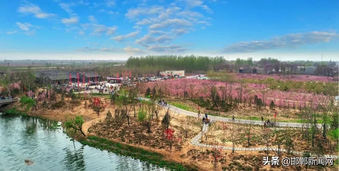 一带两抓三提升！2021年肥乡265个村要这样干