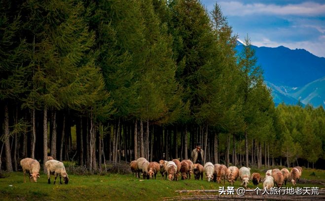 治愈系风景一辈子总要去一次新疆,去新疆的路上看不一样的风景