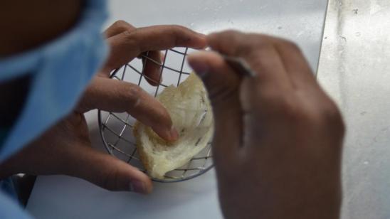 燕窝真假用什么方法鉴别,燕窝真假鉴别方法