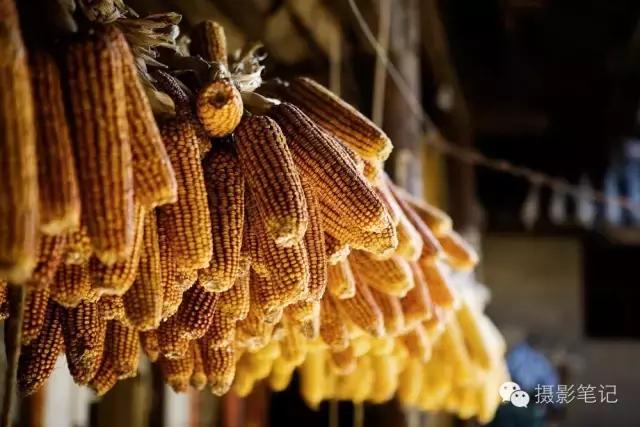 相机对焦技巧教程,相机对焦有哪些方法和技巧