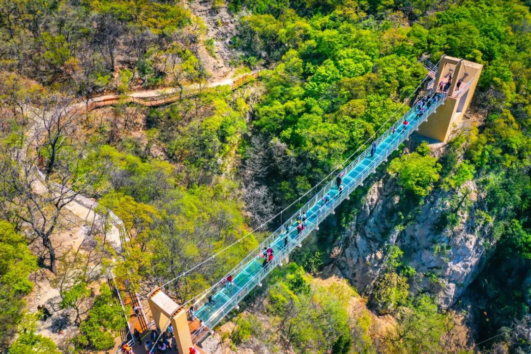 打造地方特色文旅项目,重磅打造的文旅项目
