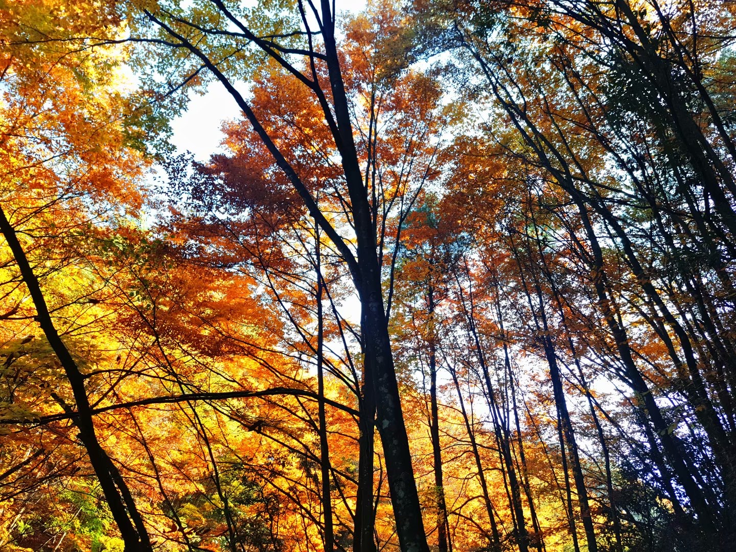 行摄山水视频大全,行摄美景