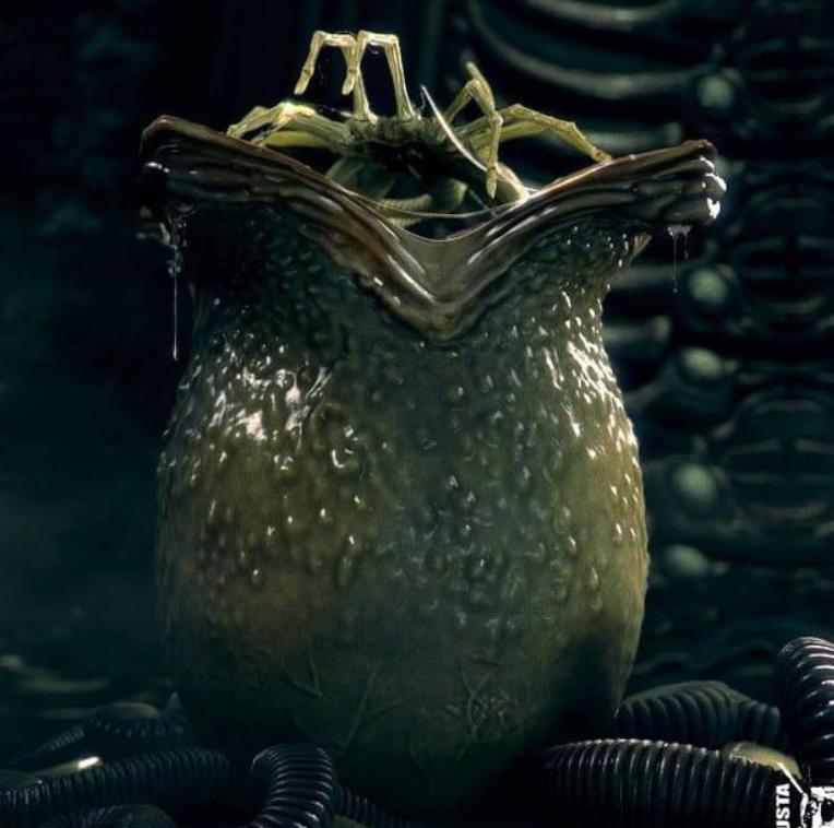 寮傚舰vs閾佽鎴樺＋娣卞害瑙ｈ,涔愰珮閾佽鎴樺＋vs寮傚舰