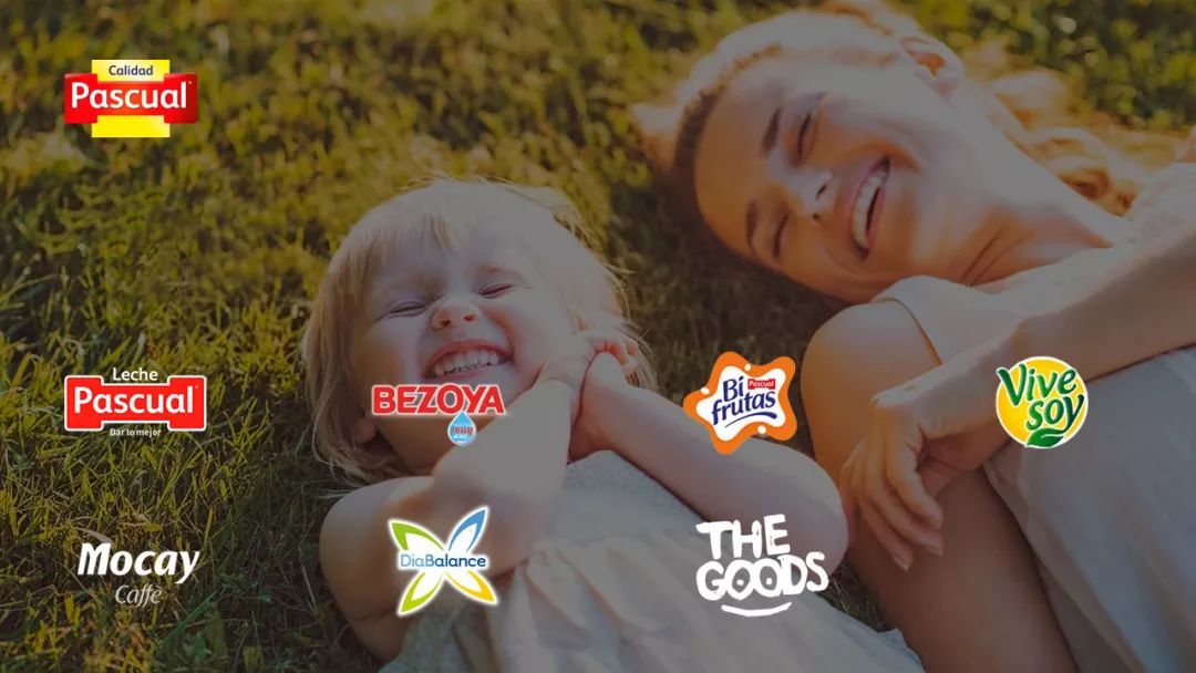 pascual西班牙酸奶,pascal西班牙