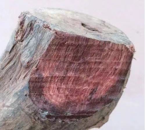 怎样分辨黄花梨和紫檀,怎么辨别海南黄花梨和缅甸黄花梨