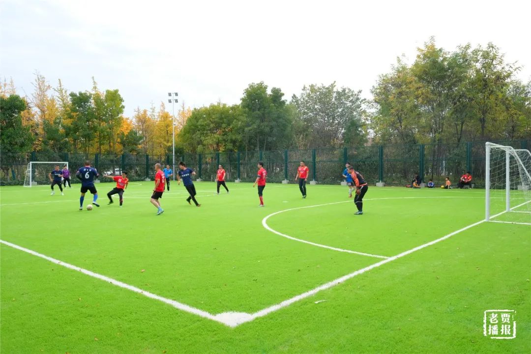 洛阳一大型网红公园免费开放,洛阳湿地公园网红打卡地