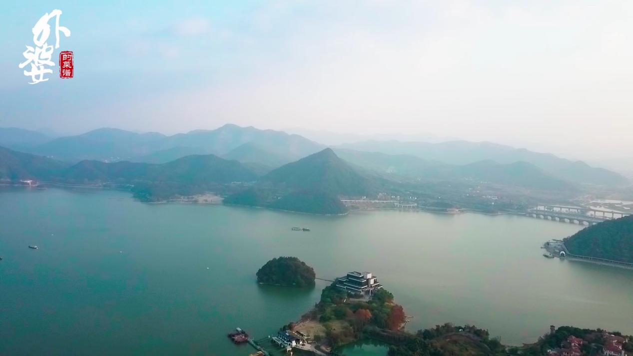 鸭子煮法大全家常做法,鸭子软烂