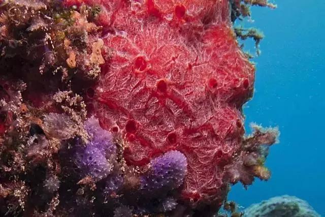 研学旅行博物馆新玩法,研学探索之旅景点