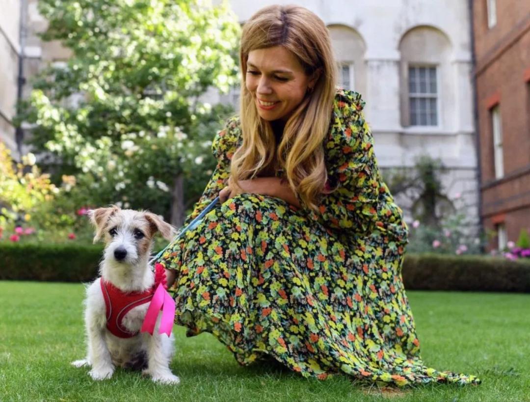 英国首相的出轨事件,英国首相绯闻事件