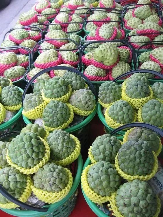 六月吃哪三种水果,5月多吃这些水果营养又健康