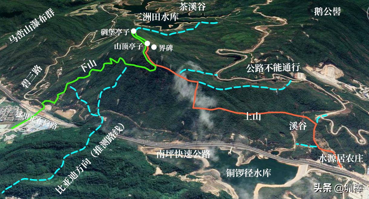 爬深圳山,爬深圳莲花山公园