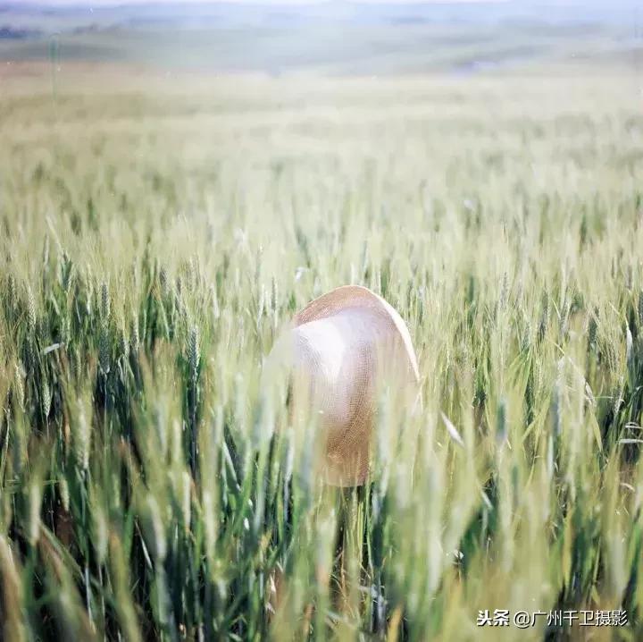 摄影必学的9种构图方法,摄影萌新必学12个构图技巧