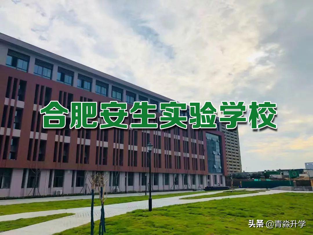 合肥安生学校小学学费,南京安生学校学费一年多少