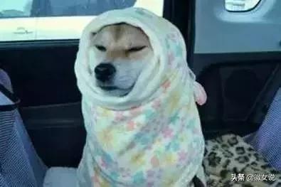 用一句话证明你是安徽的,用一句话来证明你是武汉人